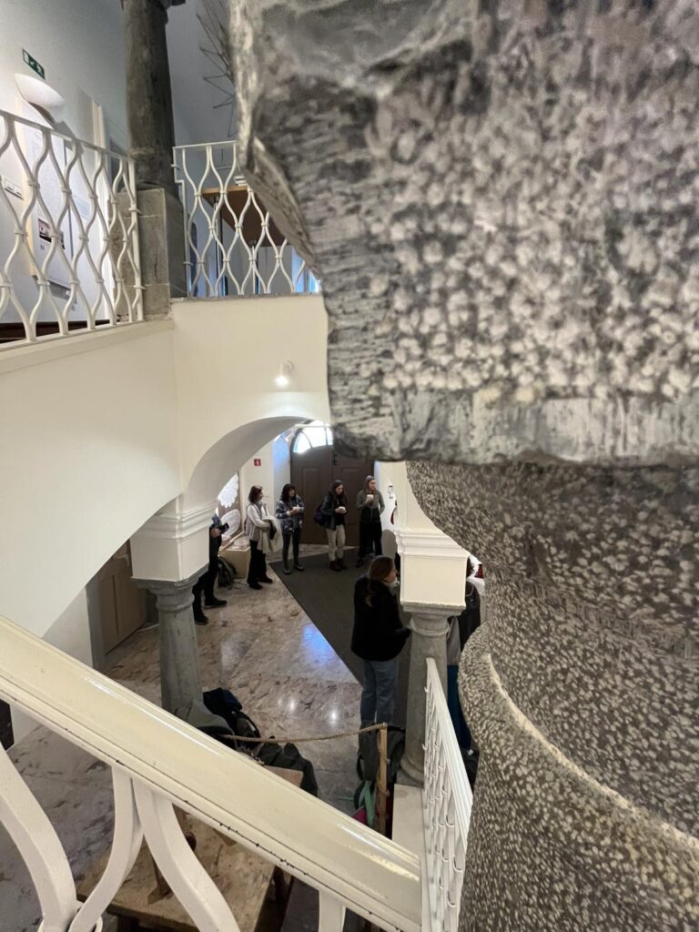 Viber image 2026 03 24 14 46 56 473